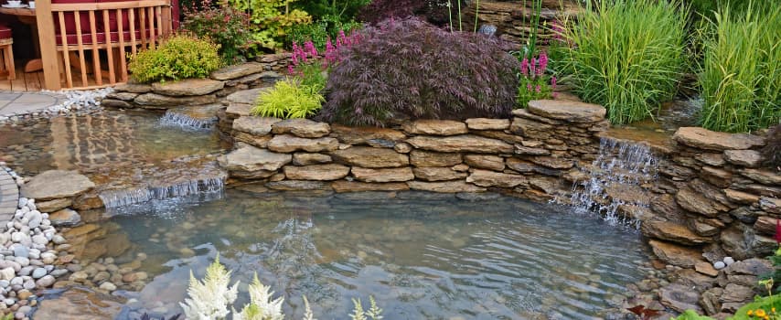 Is a water feature right for your garden?