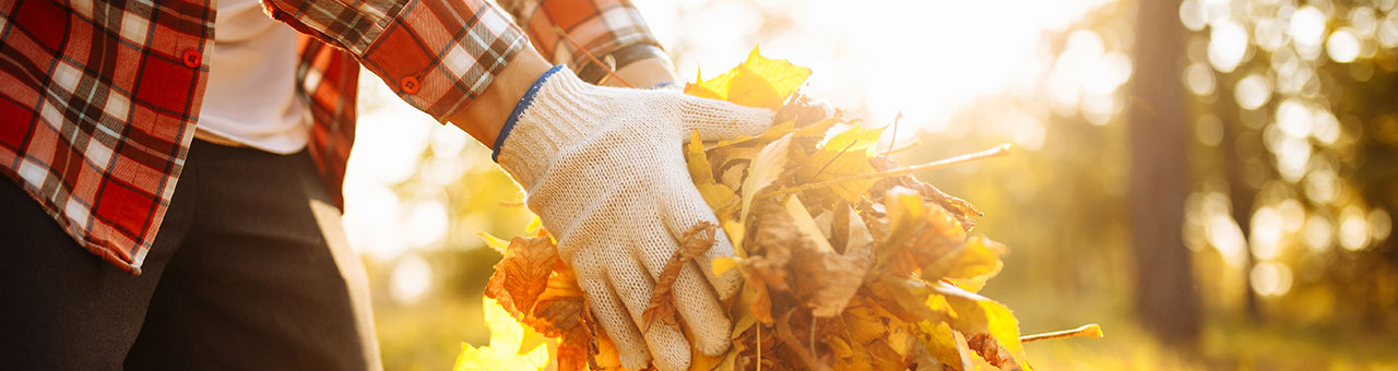 leaf collecting